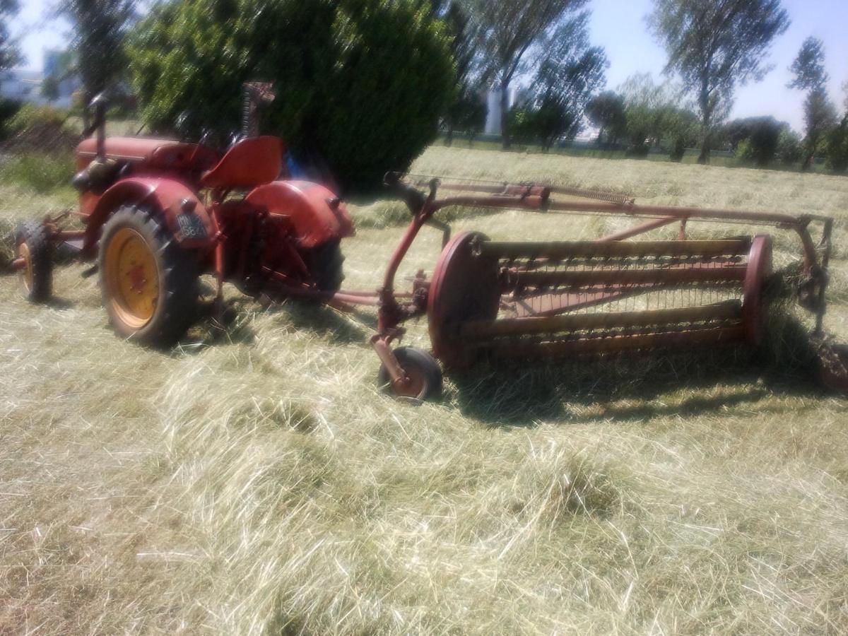 קסטיליונה דלה סטיביירה Agriturismo Corte Gaia מראה חיצוני תמונה
